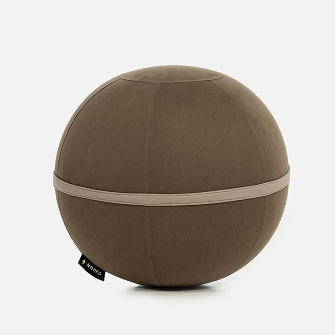 waterrower-nohrd-vivaball-palla-fitness image 1