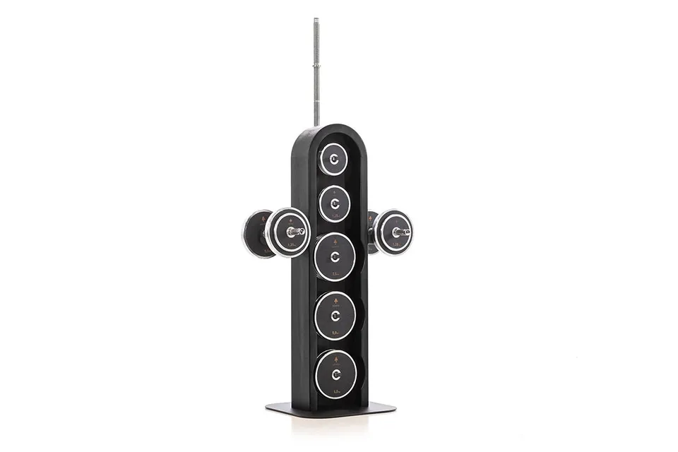 waterrower-nohrd-weightplate-tower-shadow-torre-porta-pesi-con-manubri-e-bilanci image 1