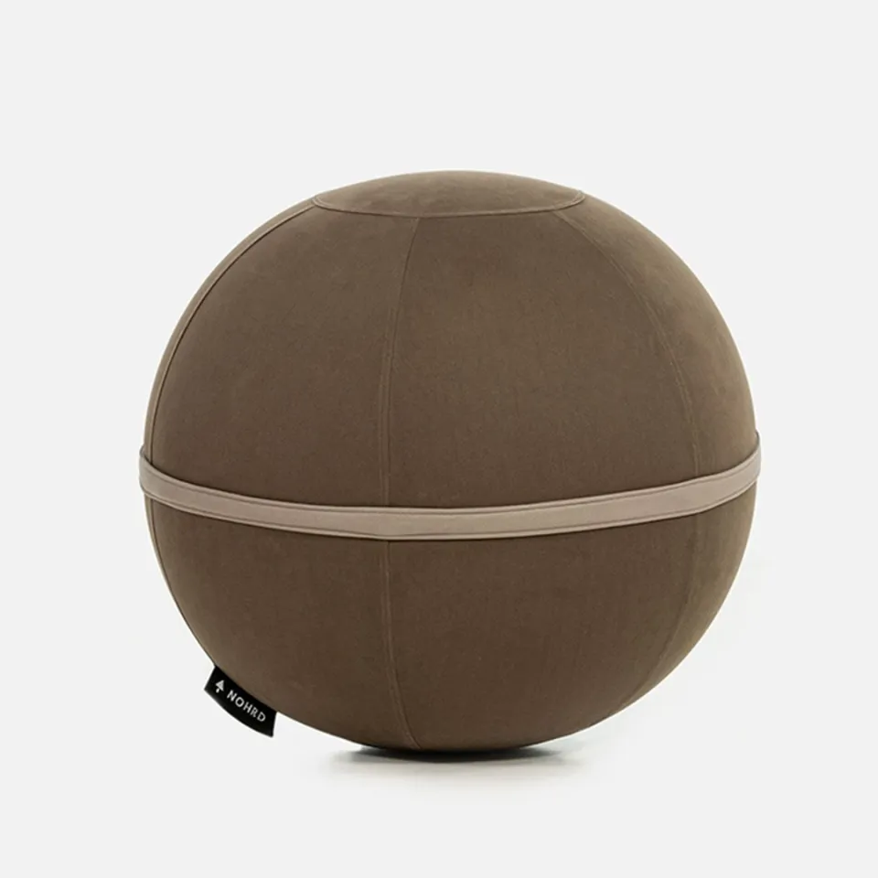 waterrower-nohrd-vivaball-palla-fitness image 1