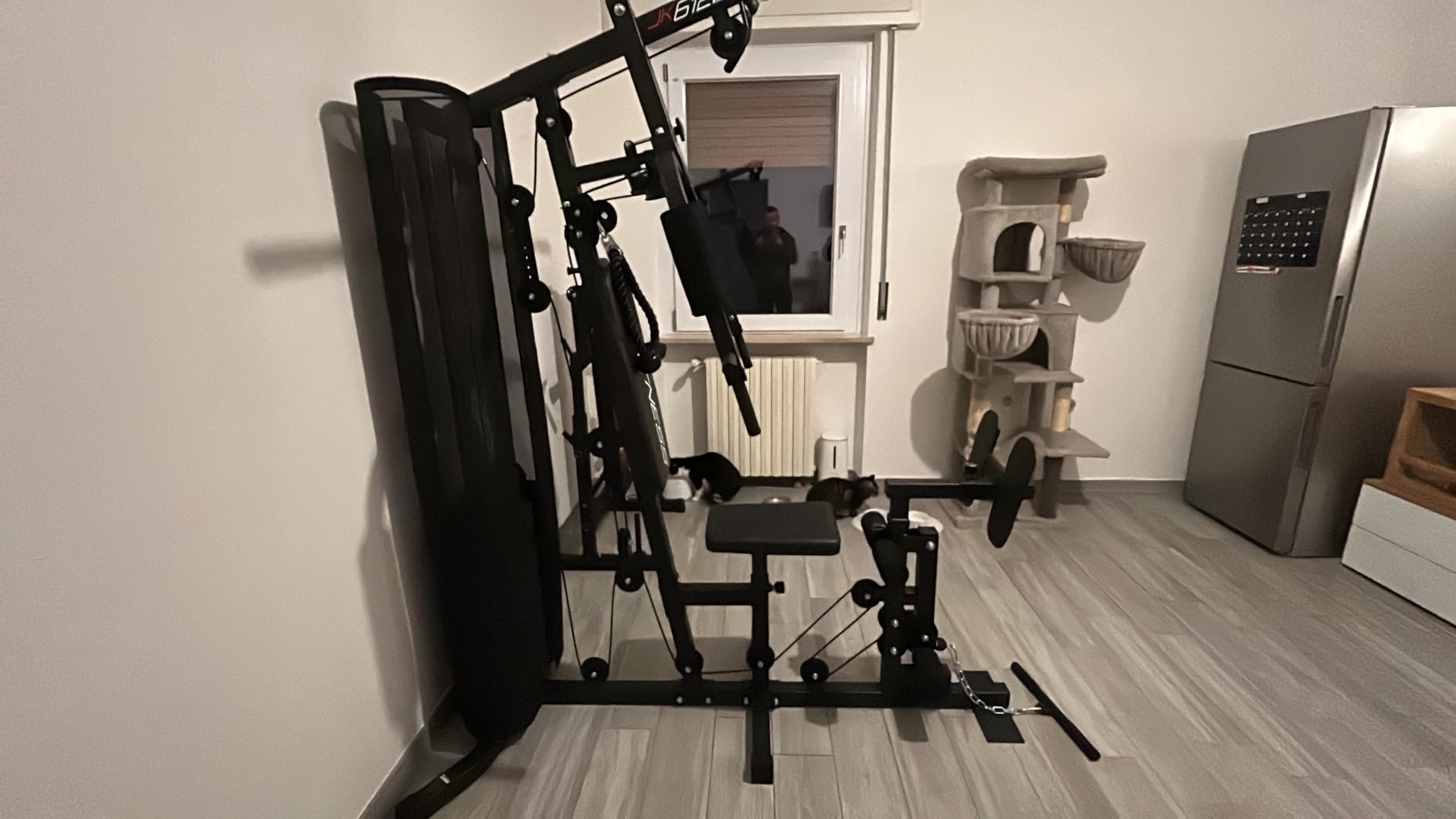 Palestra in garage
