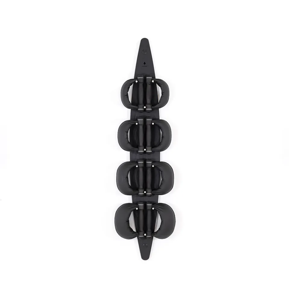 waterrower-swingboard-shadow-con-4-swingbell-2-4-6-8-kg image 1